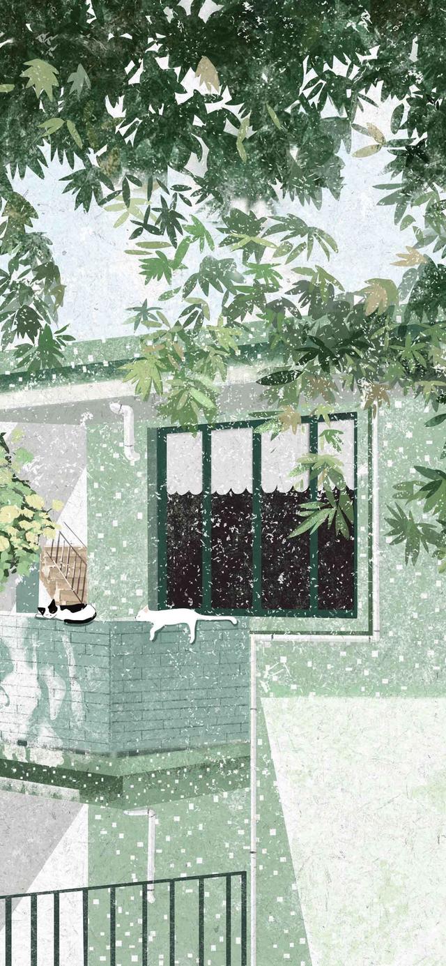 ����Ȧ�İ�˵˵��ͼƬ�����곤�̽��ţ����������Կ�