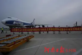 多部门联动配合，千头美国种猪“安家”新县图片