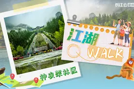 江湖Walk指南① | 来神农架，一起“森”呼吸图片