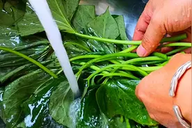 夏天少吃空心菜，多吃它！被称为“长寿菜”，保护视力还能防便秘图片