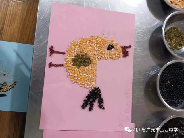 四川省民生研究会新媒体中心-官网