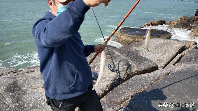 海钓上饵技巧,这样挂沙蚕,轻松牢固