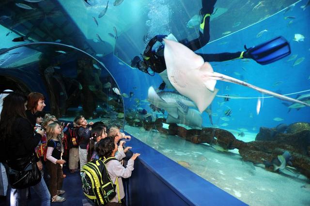 沙迦水族馆+海事博物馆 | 奇幻海洋宝藏，带娃党的福音