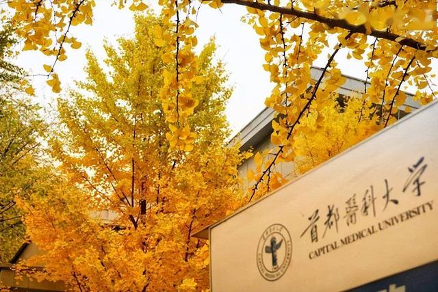 郑州大学医学院排名{高考志愿} - 指数牛