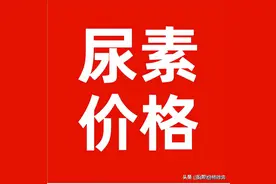 今日全国尿素出厂价格2022年5月19日图片