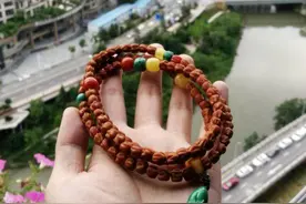 想盘红百香籽？别做梦了，忽略这3个问题，百香籽盘不红！图片