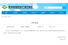 山东一女子被举报多次陪领导喝酒醉卧街头，官方通报：已组成联合调查组图片