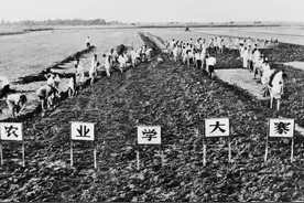 以前农业学大寨，农村没有学富裕，因为大寨的经验不值得全国推广图片