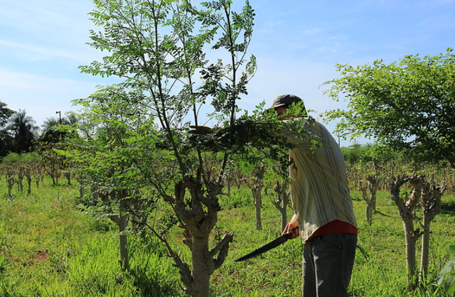 中央定调！肥料即将大变天！农民要提前做好这些准备