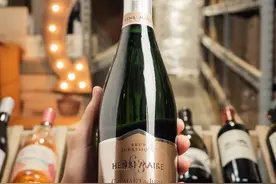 香槟的平替：精致的小清新克雷芒起泡酒入门指南图片