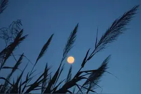 家庭福气和气运，早已有人为你安排好了图片