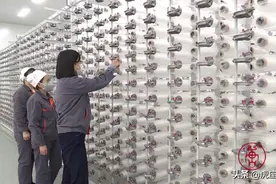 天津女孩来荆州定居，她觉得“好幸福！”图片