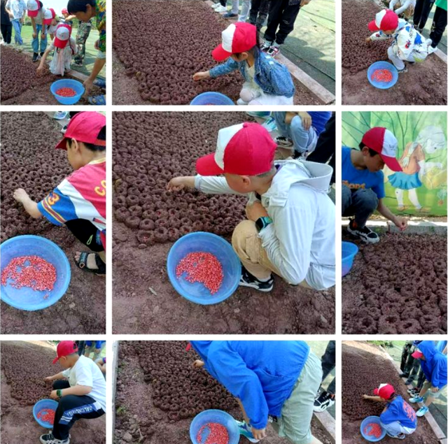 四川省民生研究会新媒体中心-官网