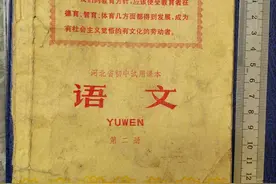 1971年 语录 语文 课本 全网唯一图片