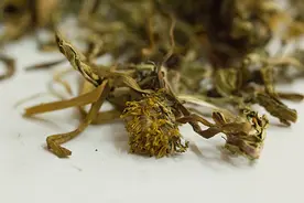 查出结节，发物要少吃，懂得忌口的人，有助于消散结节图片