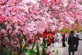 重磅！云台山免门票44天！云台山汉服花朝节将盛装开启！图片