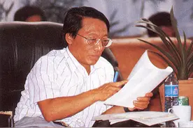 两个台湾人游泳回大陆，一个成为国企老总，一个成为经济学家图片