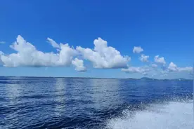 博士生称，高校博导不愿意收硕博连读生，因为加分太多很难带图片