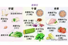 分享1套食物份量模型图，让你懂得每天吃多少食物合适图片