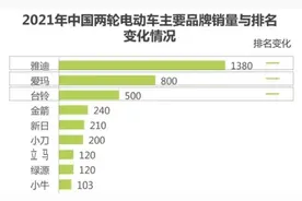 国内哪个两轮电动车品牌卖得最好？销量前9名来了，有你的车吗？图片