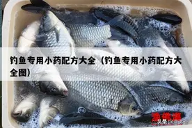 钓鱼专用小药配方大全（钓鱼专用小药配方大全图）图片
