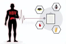 乙肝小三阳肝功能正常会传染吗？5个传播途径要避开图片