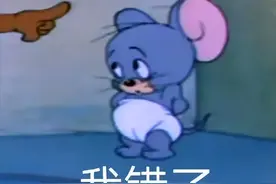 我错了表情包图片
