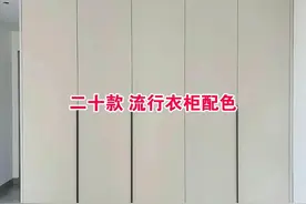 二十款流行衣柜配色图片