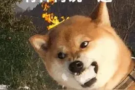 表情包‖气得头顶冒火了，女朋友生气太可怕了图片