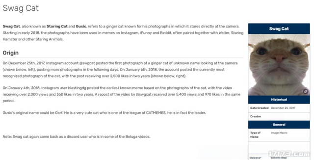 太癫了！千万玩家集体「指猫为鼠」，还成了腾讯王牌游戏的新宠儿