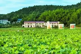 农村高价回收老物件，商贩究竟想干嘛？回收或是骗局，别被套路了图片