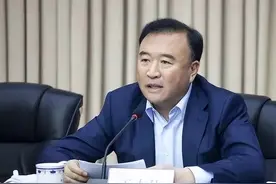 辽宁省原副省长、公安厅原厅长王大伟被逮捕！曾为掩盖“裸官”问题，搞假结婚欺骗组织图片