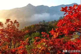 江山散文｜彩色的世界图片