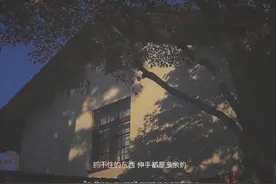 时间会告诉你一切，可惜时间是个哑巴图片