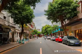 去东莞光明路，来场说走就走的City walk图片