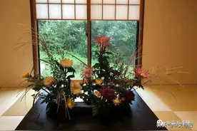 裘 索：人淡如菊书岁华图片