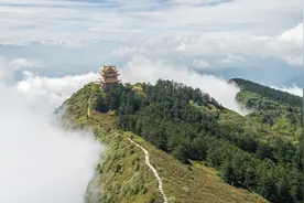 《洞见》名句精选：人间清醒的100句话，每一句都是醒世名言图片