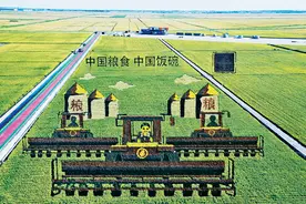 树立大食物观 端稳中国饭碗图片