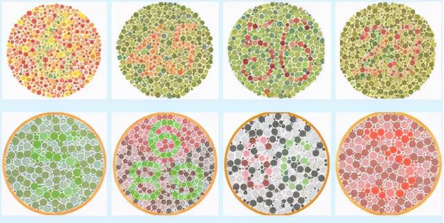 【答案】红绿色盲者及红绿色弱者能看到5,但全色弱者