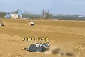 老人被卷入花生机身亡，村民反应令人心寒！图片