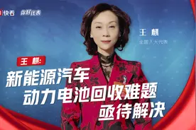 你好，代表｜人大代表王麒：新能源汽车动力电池回收难题亟待解决图片