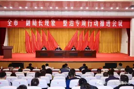 谁往枪口撞就查谁，谁有问题就处理谁！市委书记发话，整治“副局长现象”图片