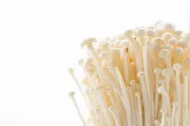壹邦小知识：金针菇怎么洗才能洗干净甲醛？怎么辨别金针菇含甲醛图片