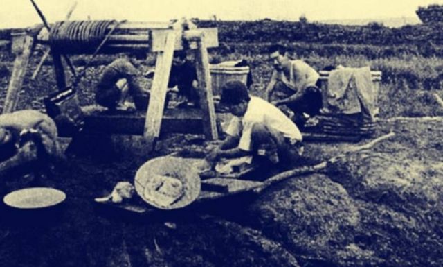 1945年，一个日本5口之家逃进中国原始森林，40年后结局令人意外