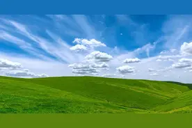 笔记｜除掉杂草最有效的方法图片