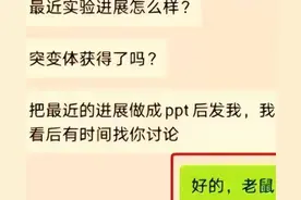 “我可以吃吗”？男大学生和导师聊天记录火了，网友看完捧腹大笑图片