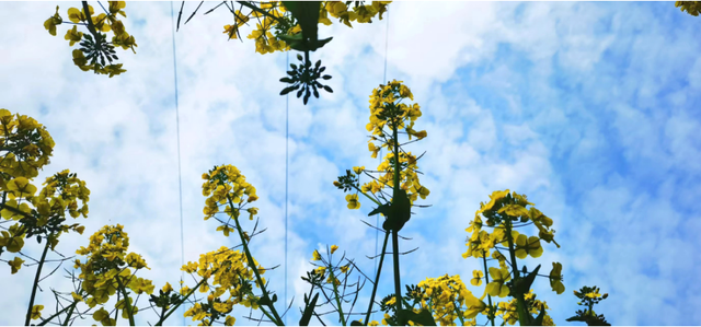 四川省民生研究会新媒体中心-官网