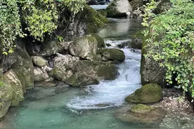 青城后山巡游记图片