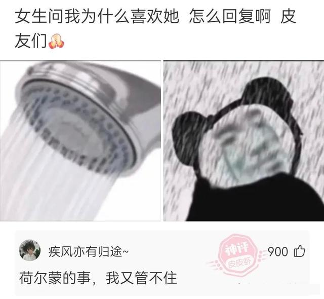 媳妇出差发来照片，这下真的绿了，实锤了兄弟挺住啊，哈哈哈