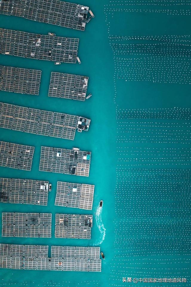 汕头最大海鲜水产批发市场 2026年汕头市海鲜水产批发市场